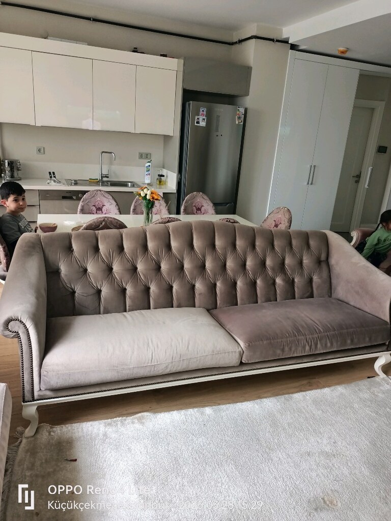 Özel Tasarım Koltuk 2 adet fiyatı - 3