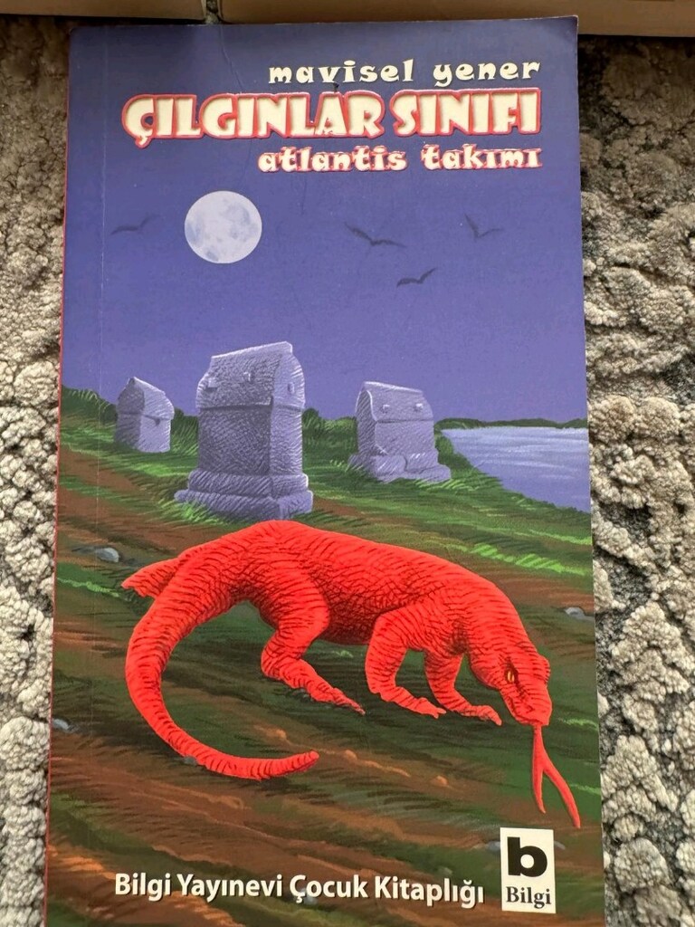 Ortaokul Seviyesi İçin Uygun 10 Önerilen Çocuk Kitabı - 8