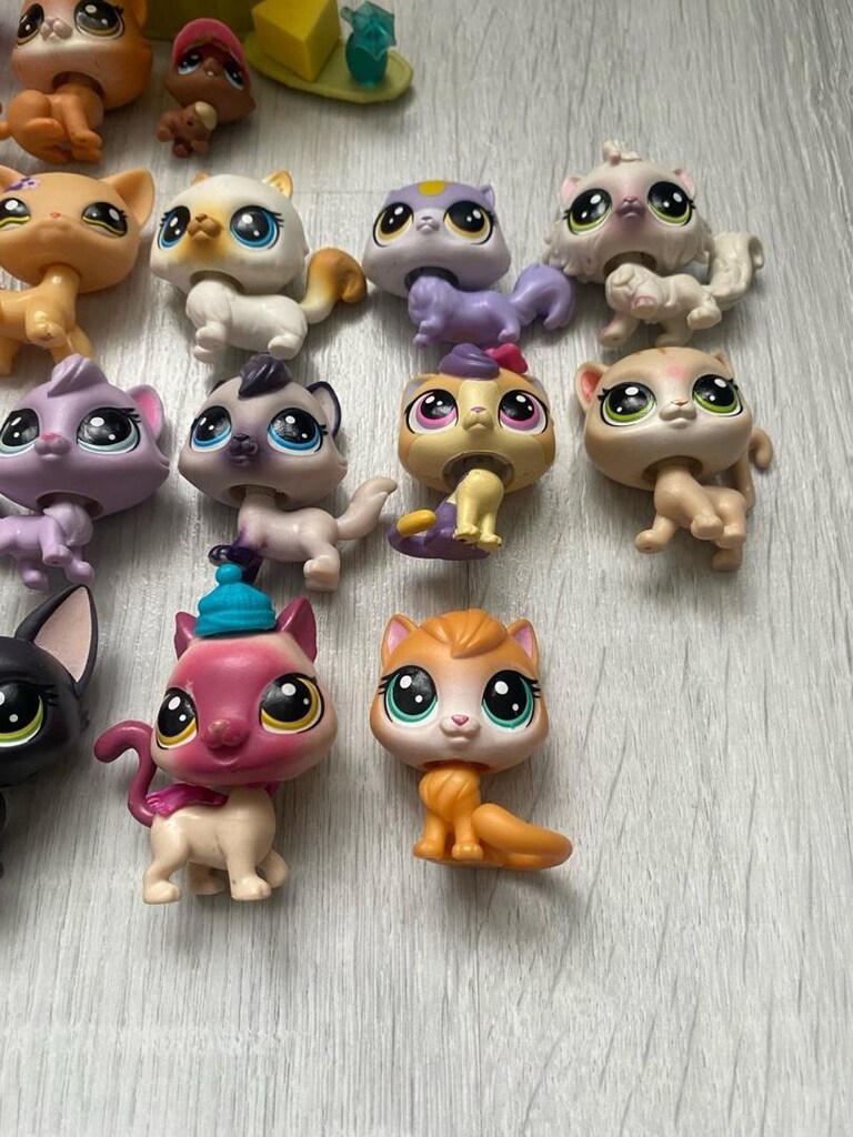 kedi minişler - 6