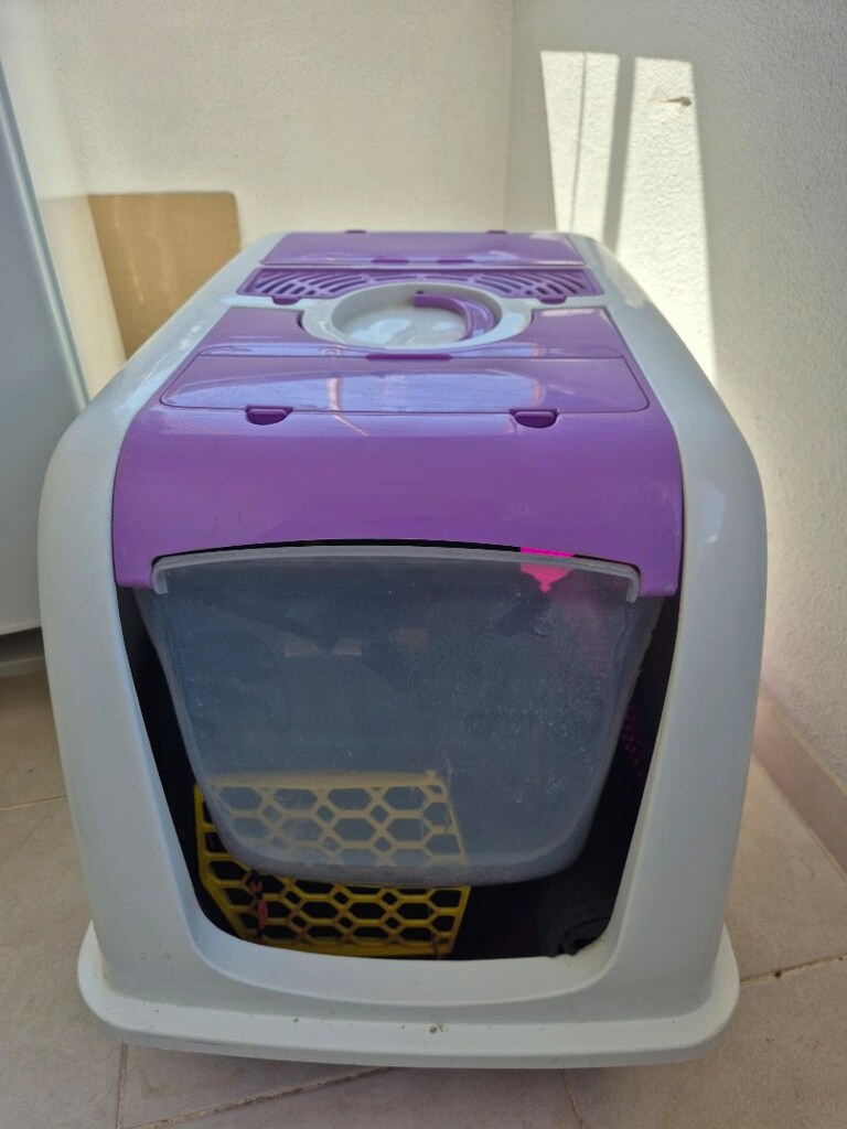 kedi için tam set - 4