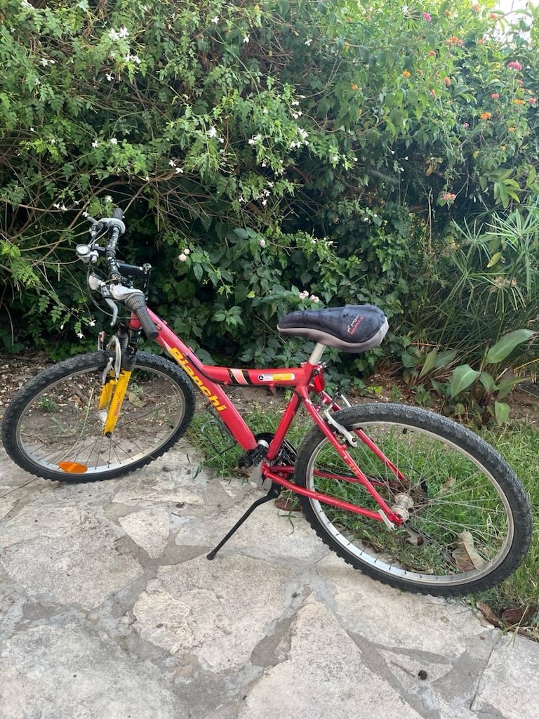 Bianchi 26 Jant Dağ Bisikleti - 5