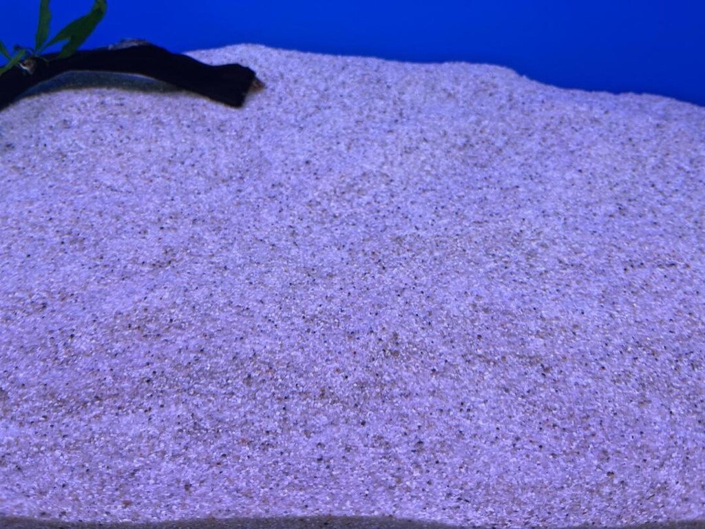 Jbl Sansibar River (Nehir) 0,4-1,4mm 10 kg Kum - 3