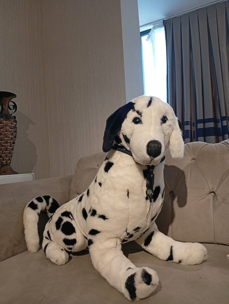 Dalmaçyalı köpek - 2