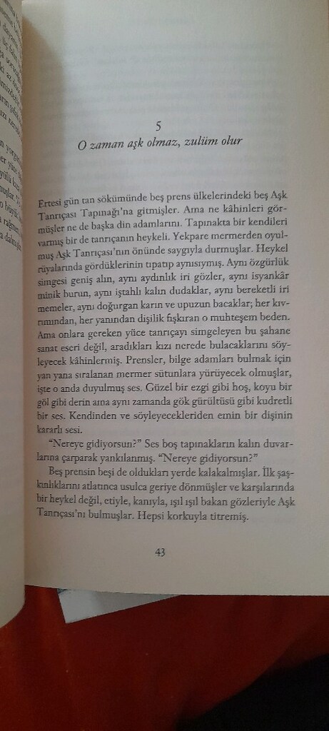 BİR AŞK MASALI, AHMET ÜMİT - 3