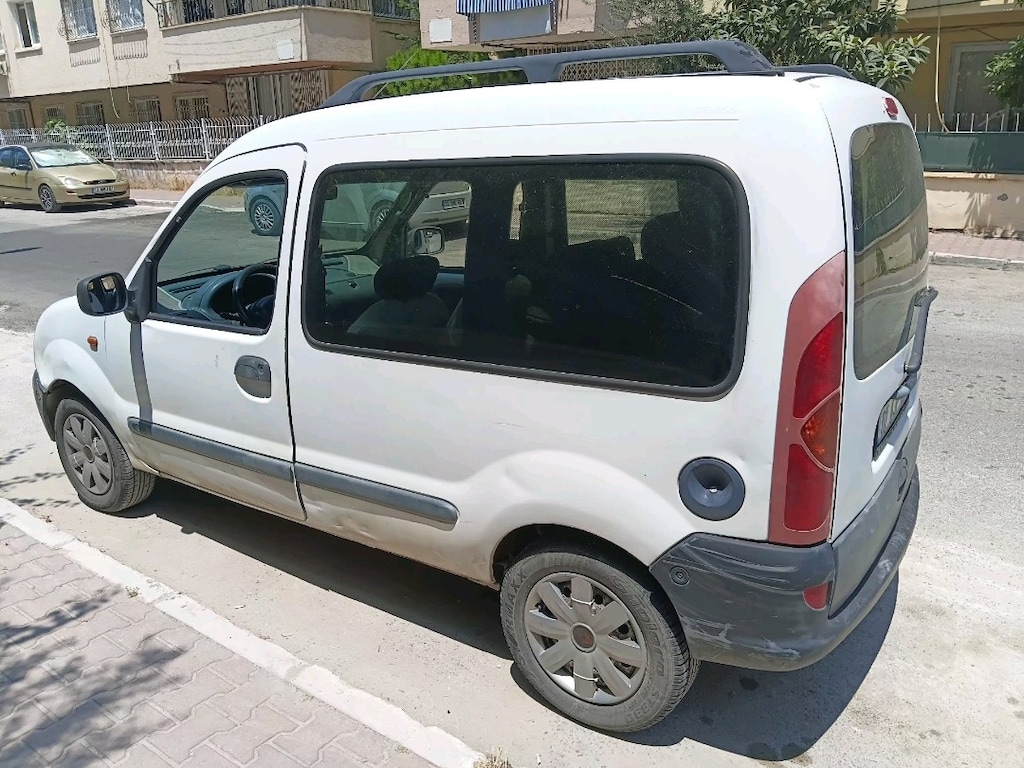 aile ve iş için uygun.Masrafsız temiz çürük dökük yok sağlam ve diri - 8