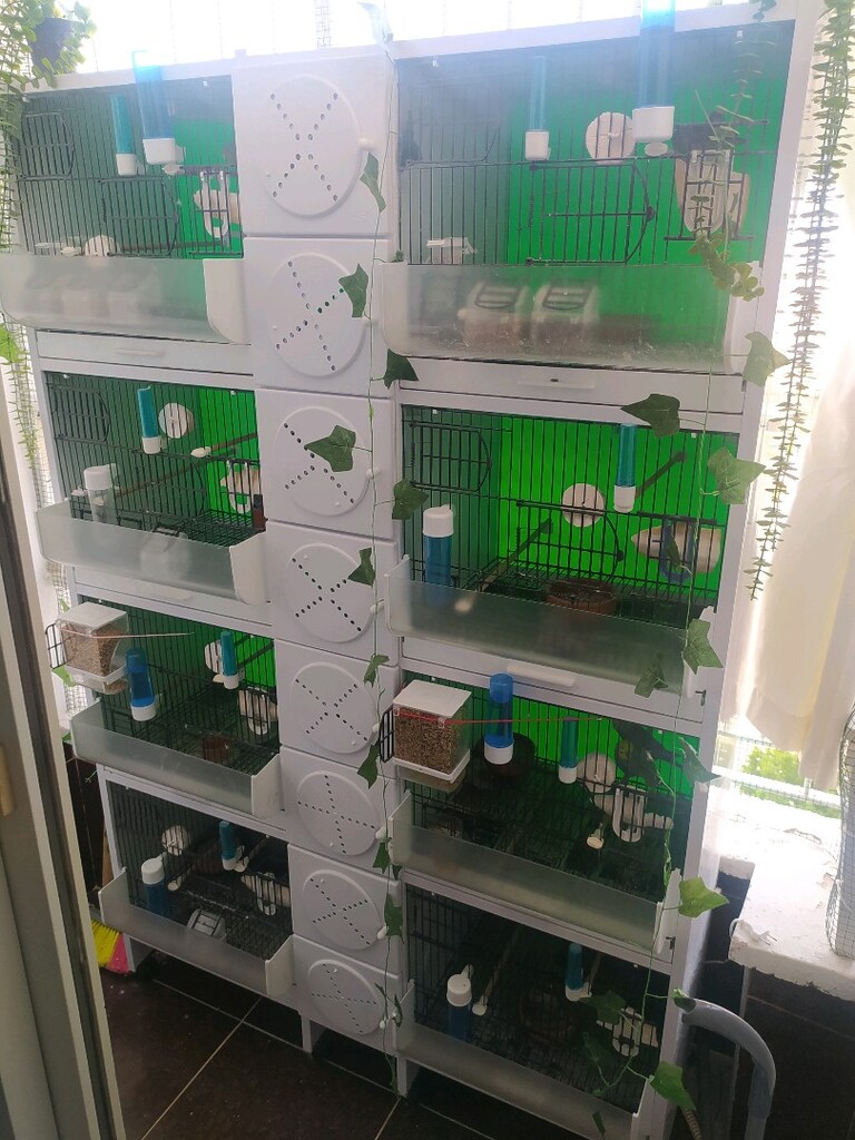 4 Katlı 8 Çift Kapasiteli PVC Kuş Kafesi – Kendinden Yuvalıklı - 2