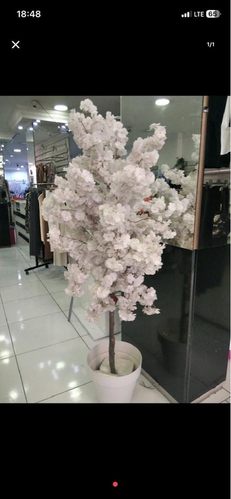 Acil az kullanılmış ev eşyaları toplu - 3