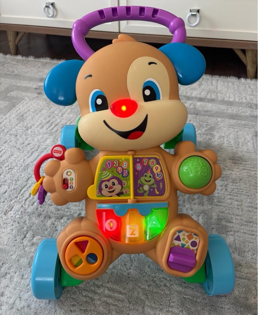 Fisher-price Eğitici Köpekçik Yürüteç - 6