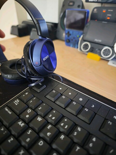 Sony Orjinal Kulaklik