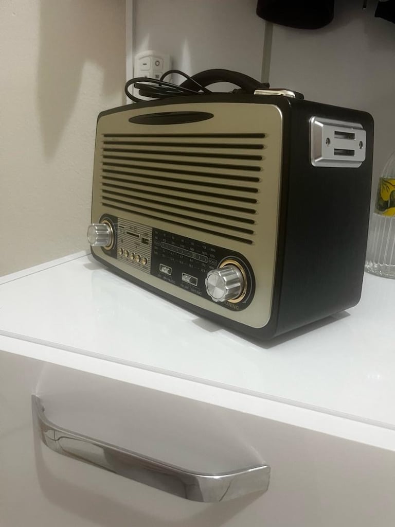 eski görünümlü modern radio - 2