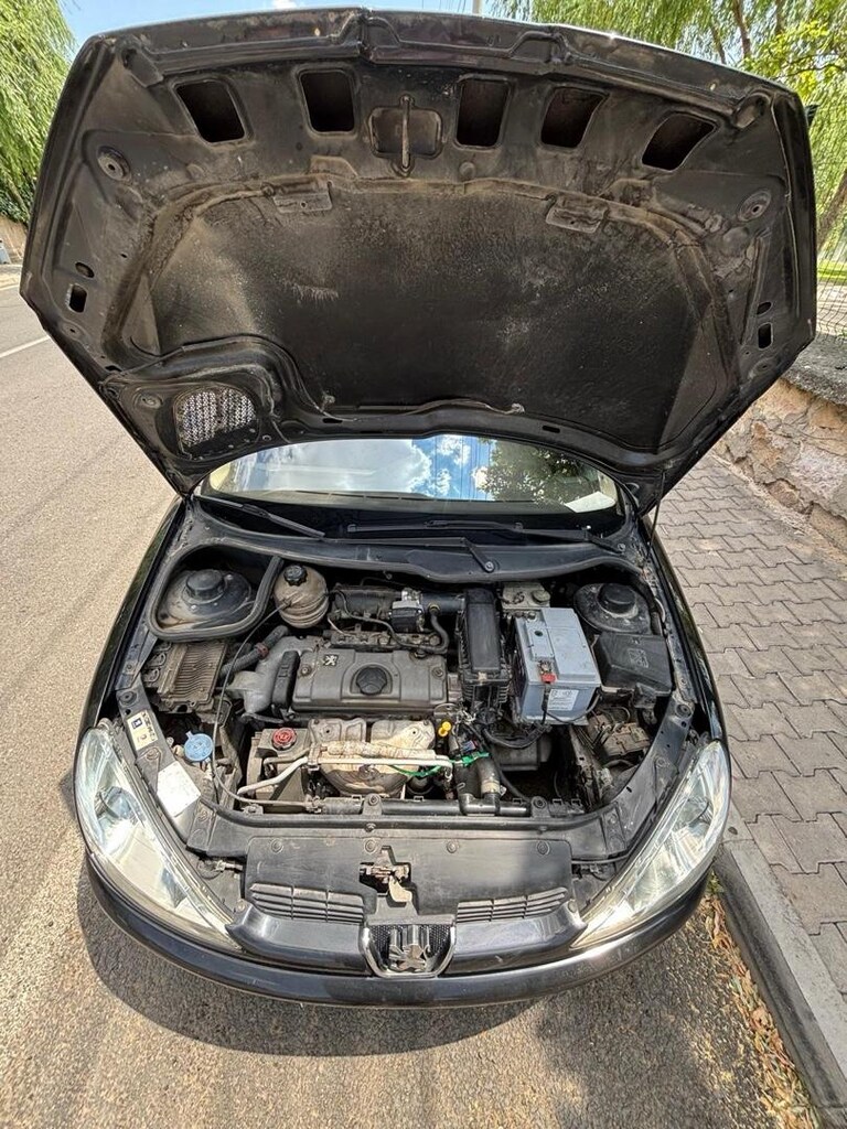 SAHİBİNDEN 2006 MODEL PEUGEOT 206 FELİNE 1.4 BENZİNLİ MANUEL HATASIZ - 5