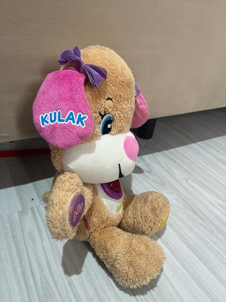Fisher price eğitici köpekcik - 5