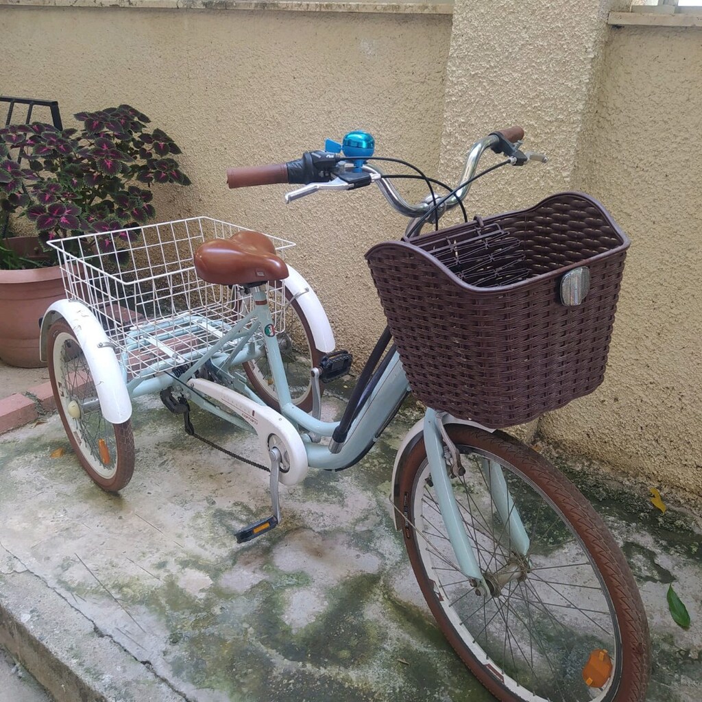 3 Tekerlekli Sıfır Bisiklet ( Carraro Marka) - 4