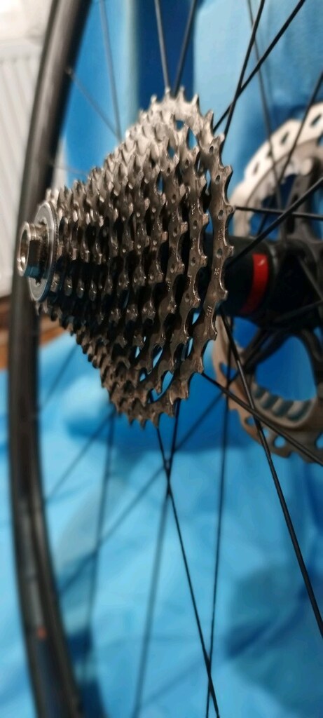 TREK DOMANE SL - 4