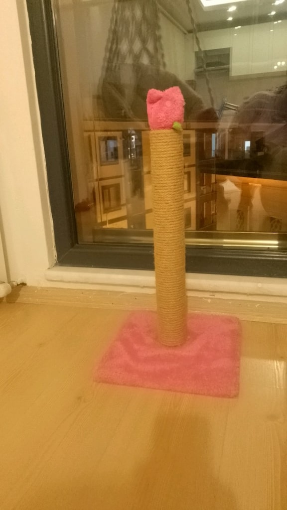 kedi oyuncağı - 2