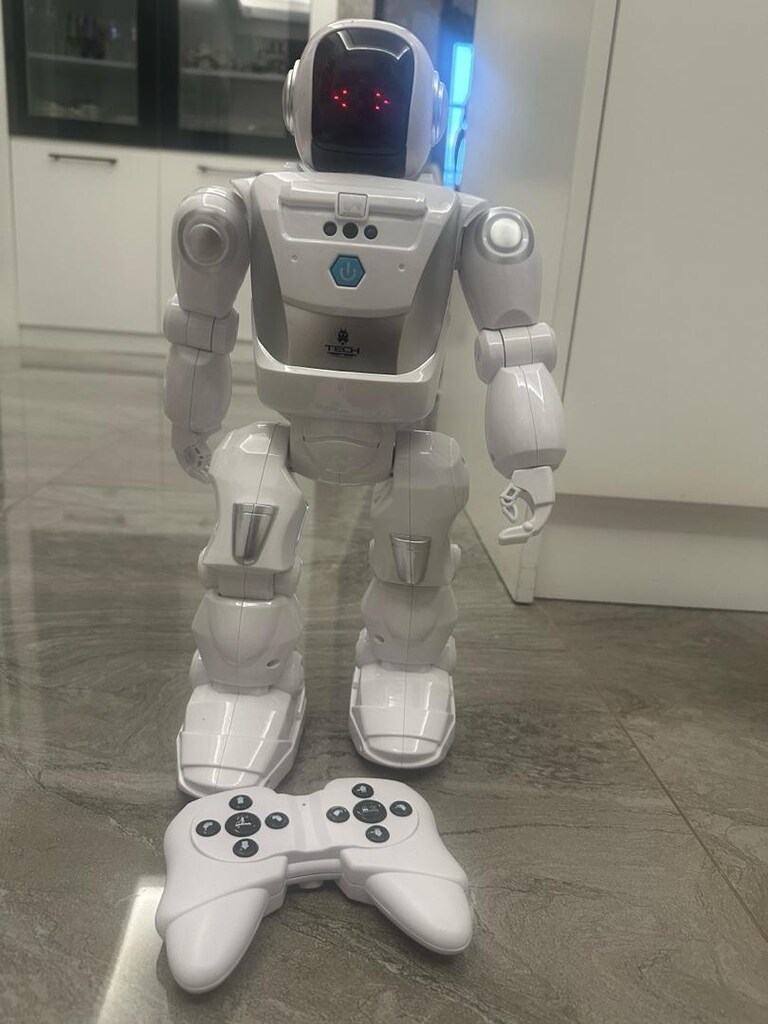 pilli robot - 5