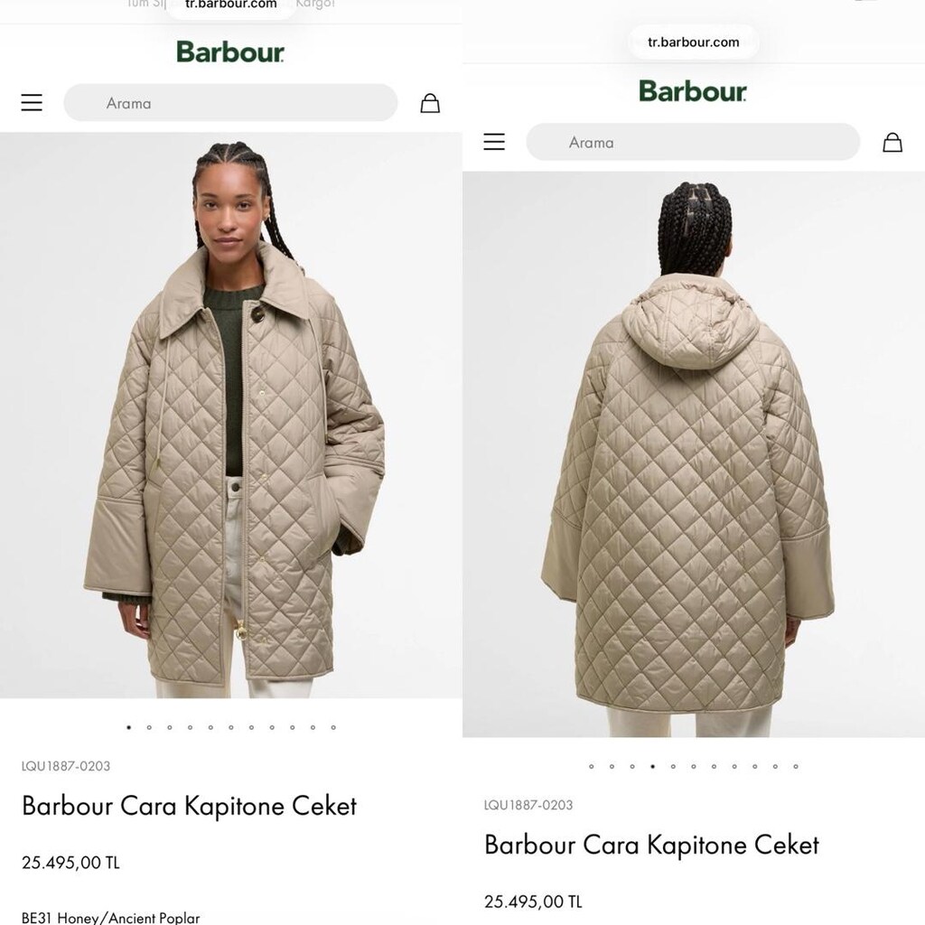 Barbour mont