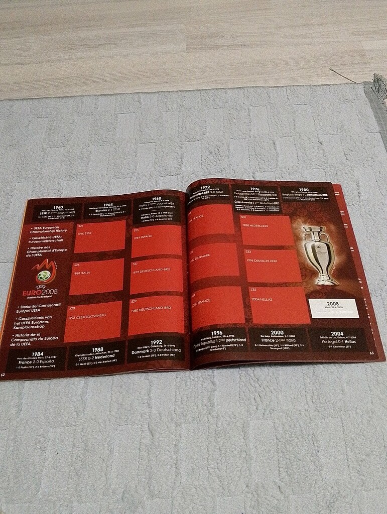 panini euro 2008 Avrupa şampiyonası - 7