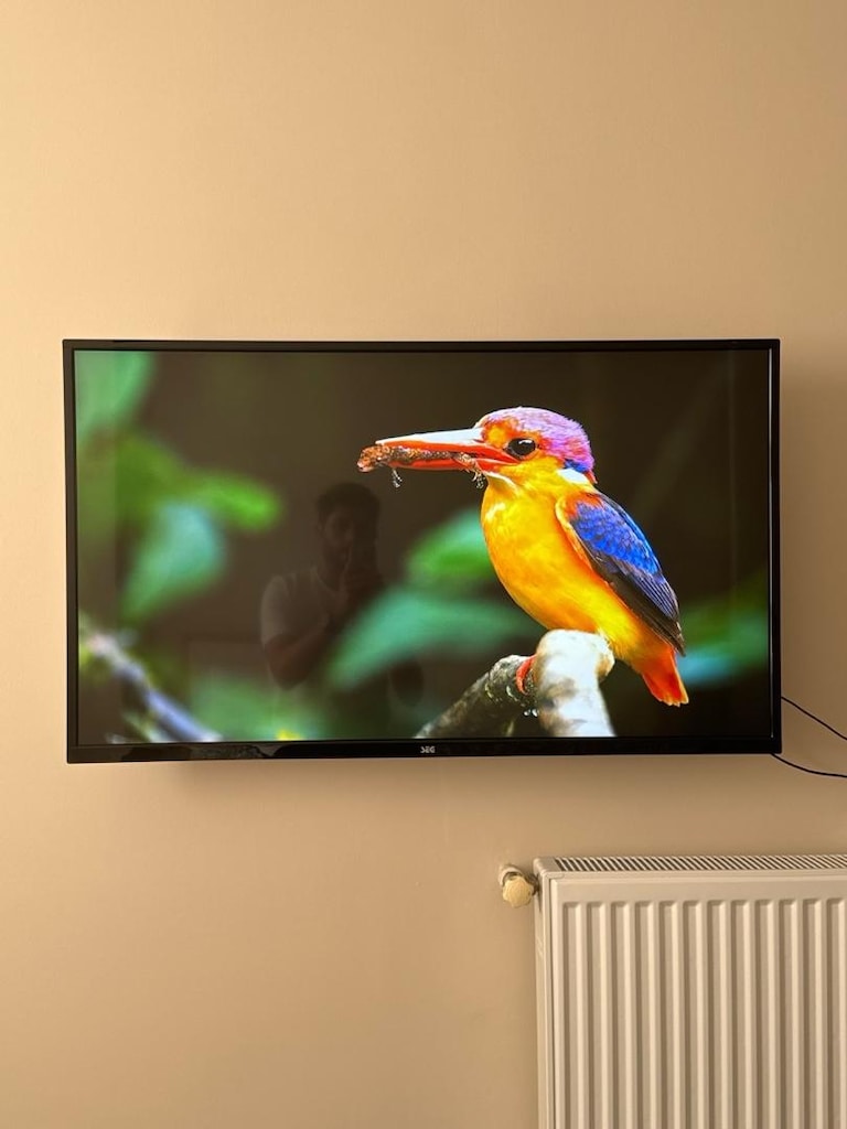 SEG TV - 5
