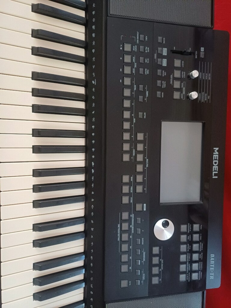 ORG Medeli Dante Tr - 6