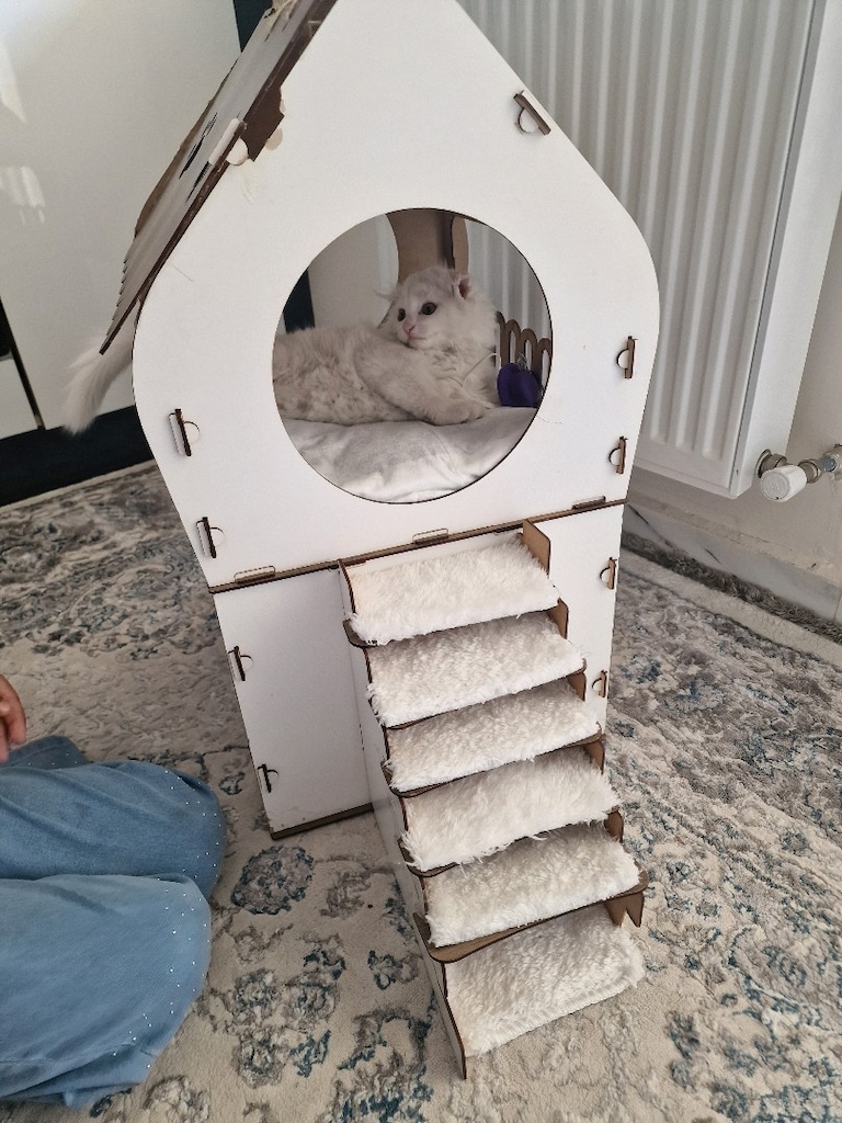 kedi evi - 2