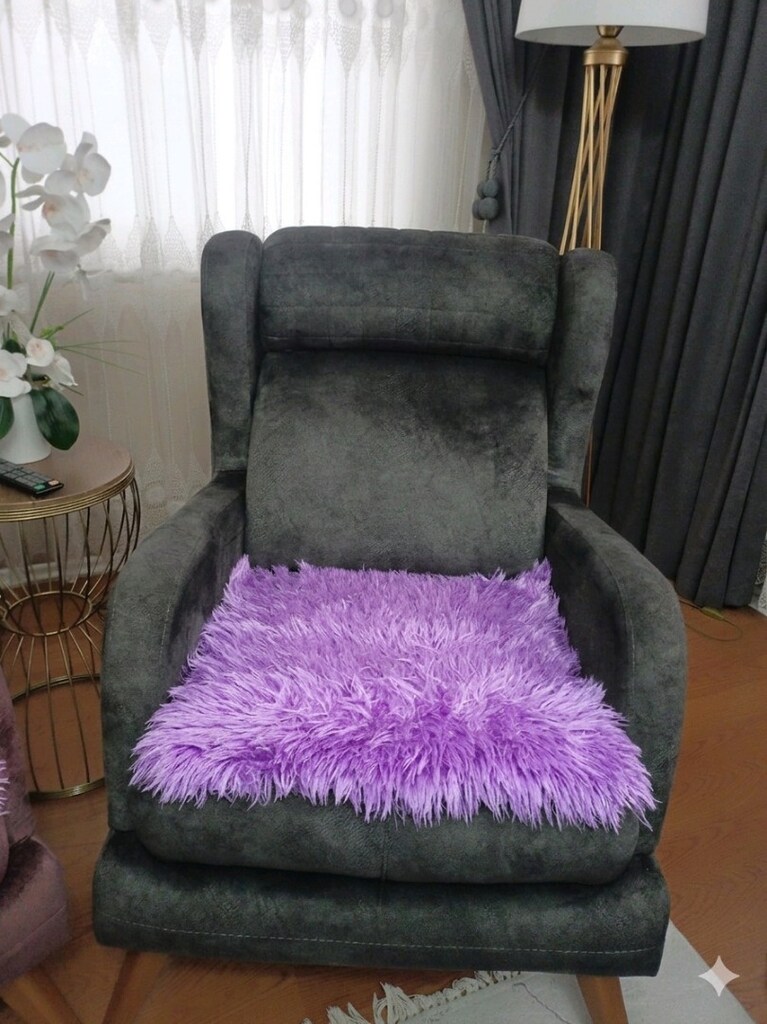Koltuk Örtüsü - 5