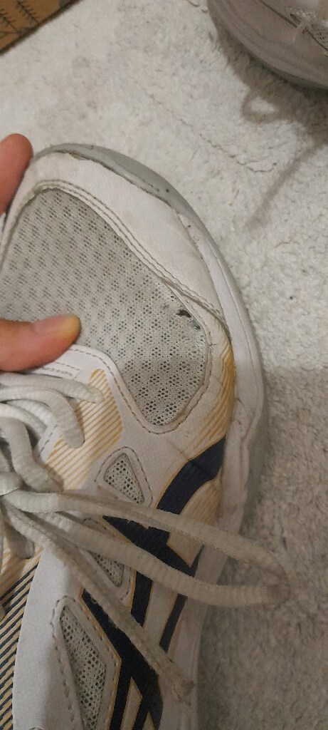 Asics Kadın Ayakkabı