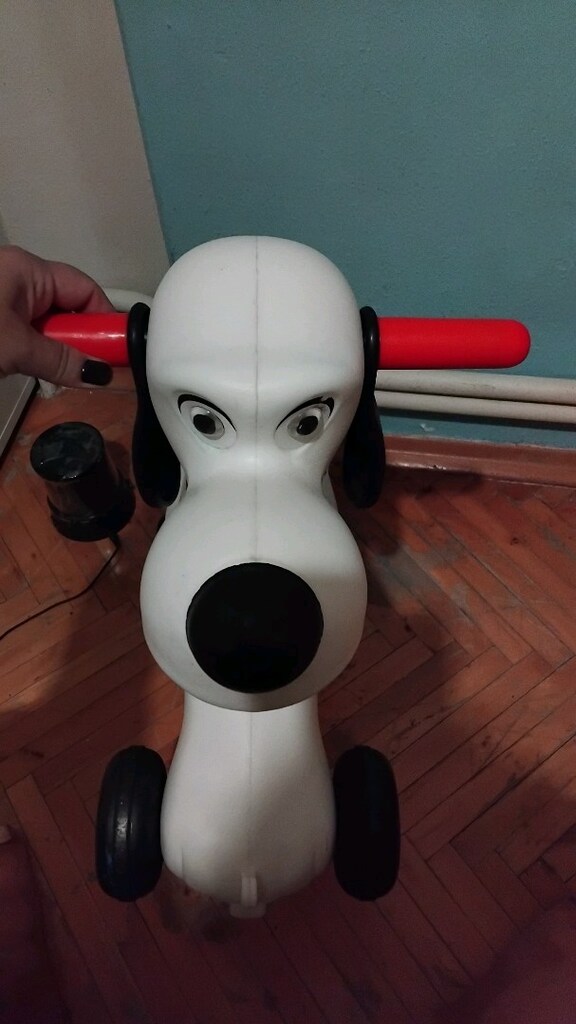 sallanan yürüyen köpek - 3
