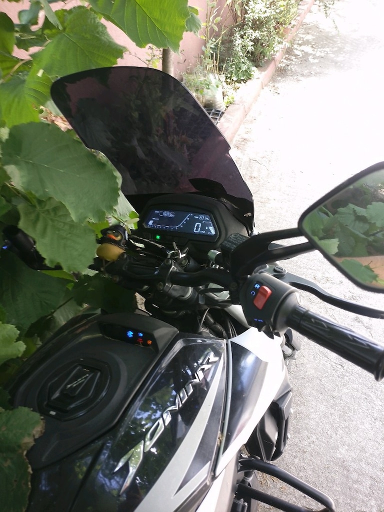 dominar 250 D - 2