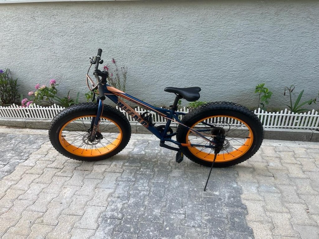SATLIK CARRARO BUFFALO - 5