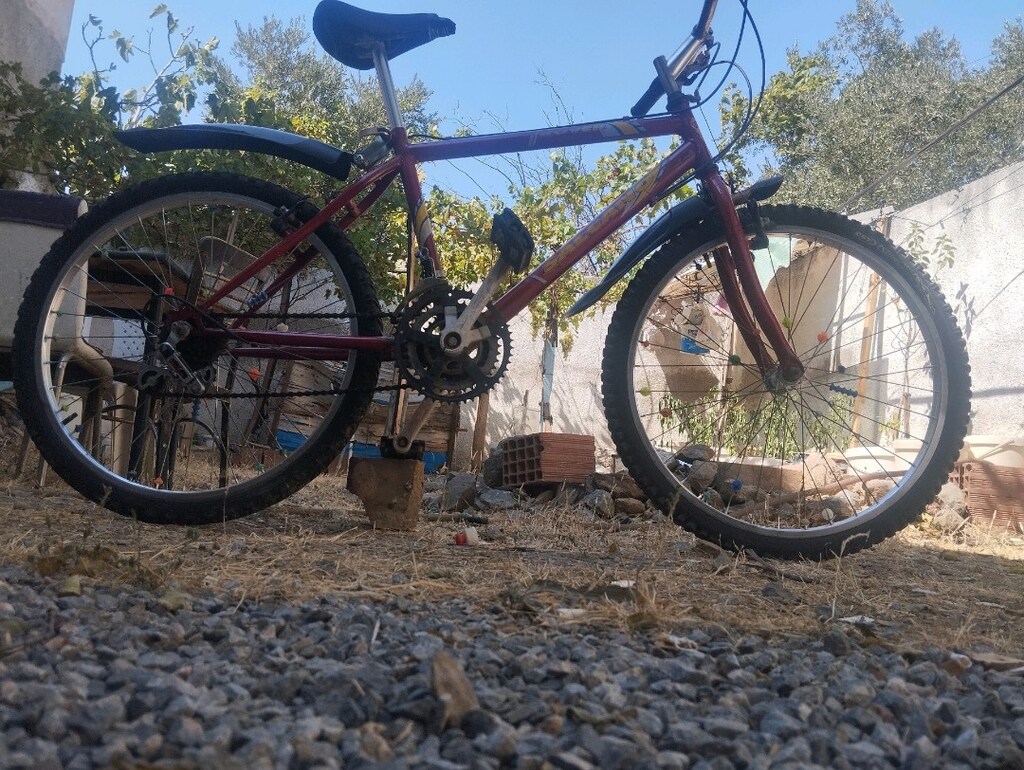 Salcano 24 jant 21 vites bisiklet - 3