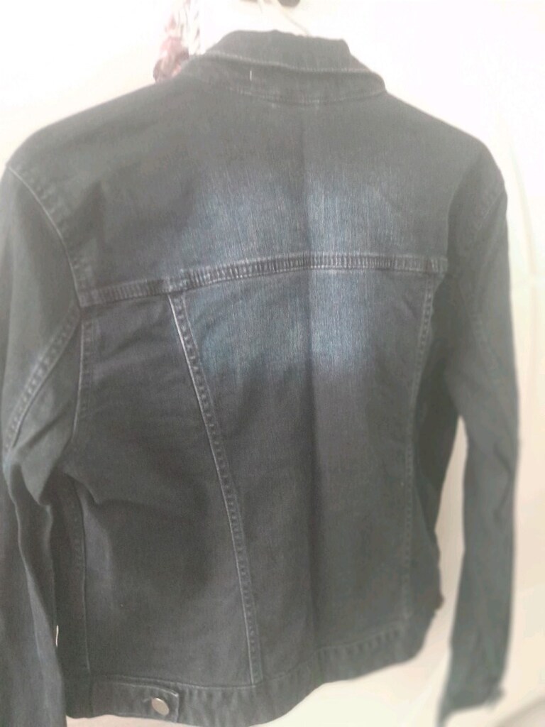 kot mont - 5