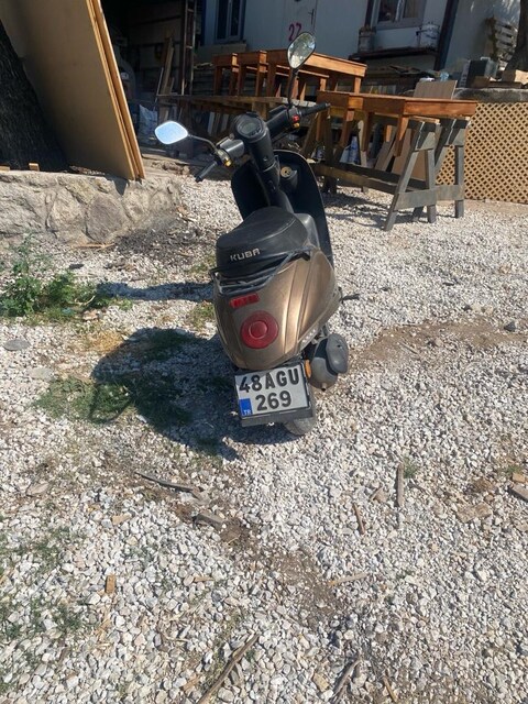 satılık küba skotur