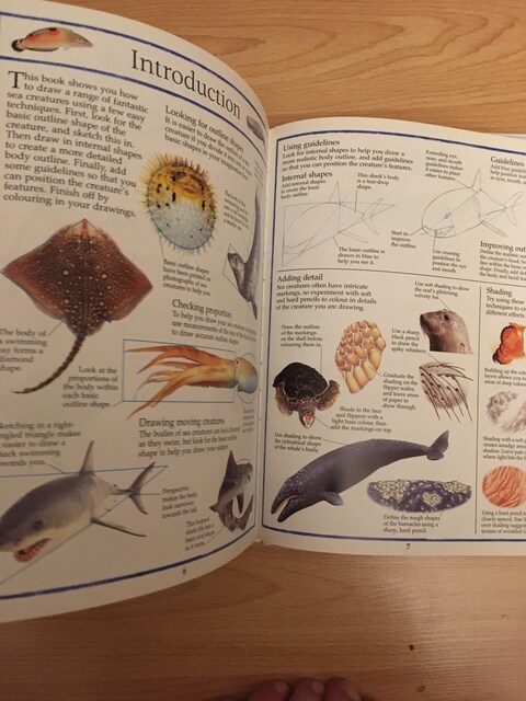 Sharks, Whales and other Sea Creatures / Angelika Elsebach