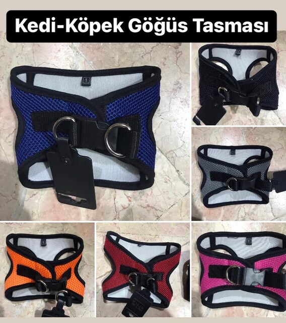 Gögüs tasması