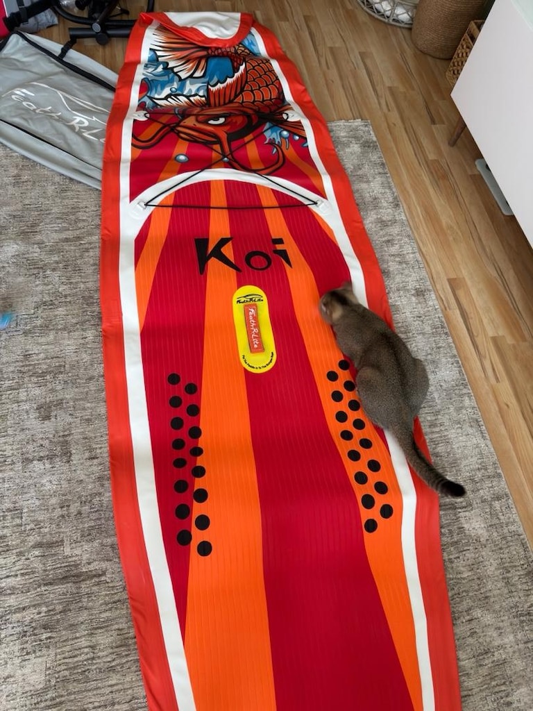 SUP (Sörf Tahtası)