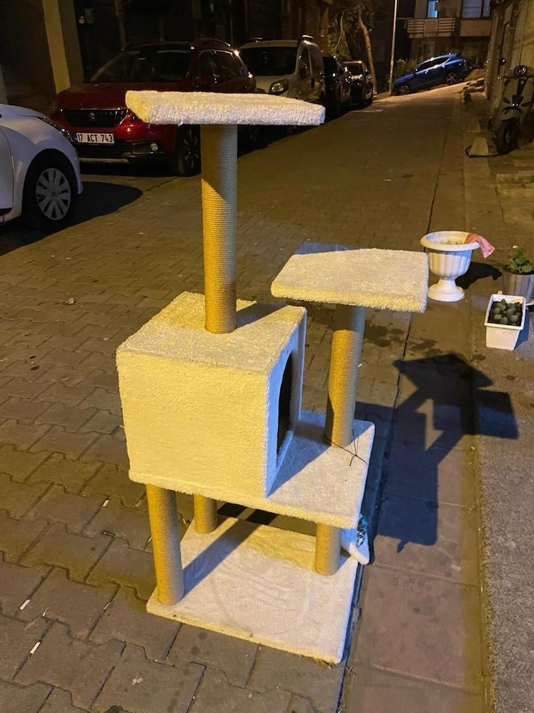 kedi Evi - 6