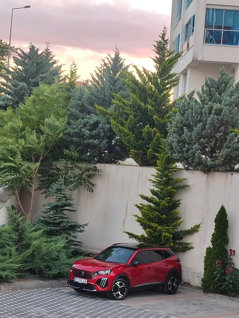 SAHİBİNDEN HATASIZ BOYASIZ PEJO 2024 SUV - 13