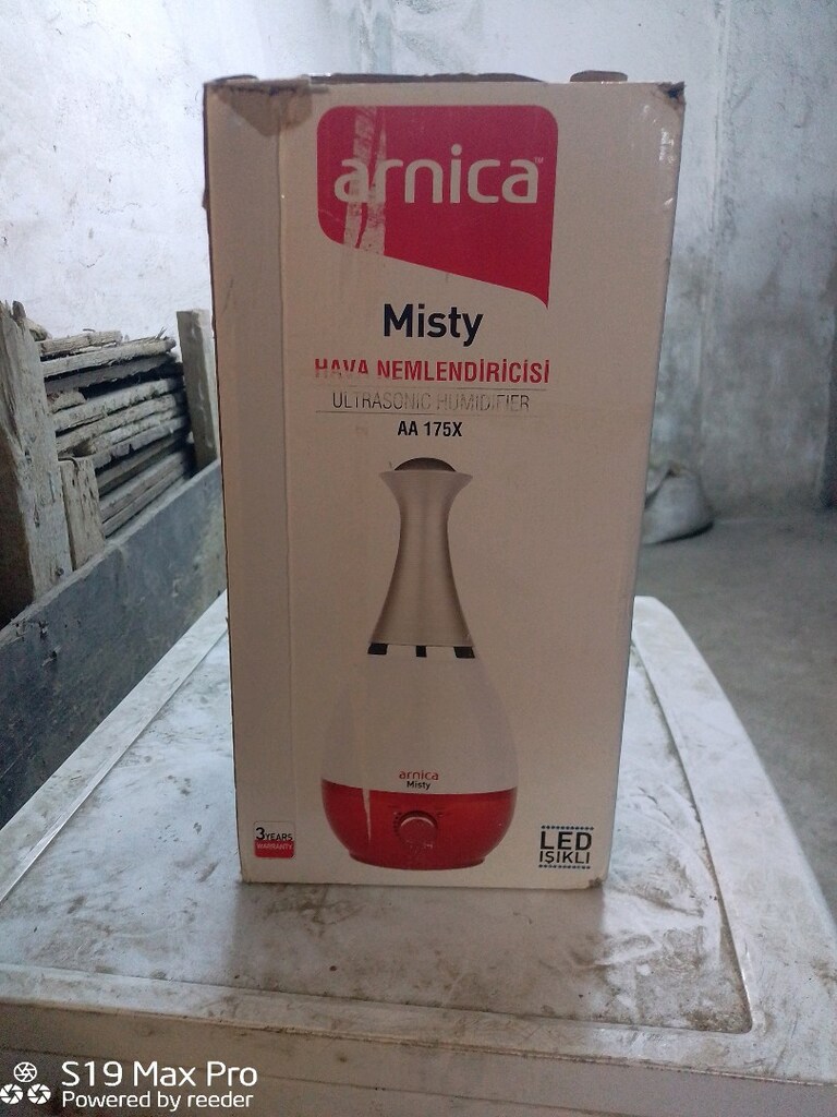 Arnica dekorasyon - 2