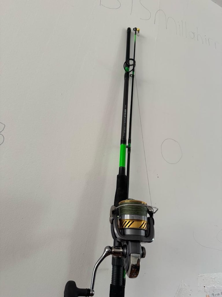 daiwa makina daiwa kamış - 2
