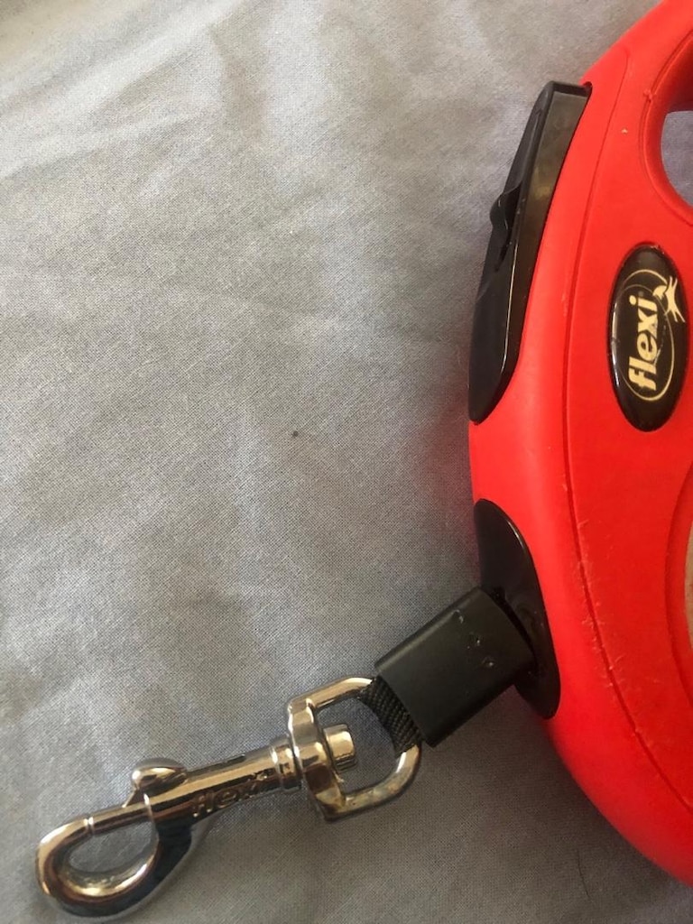 köpek gezdirme makaralı kaka torbalı flexi marka - 5