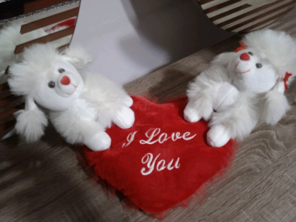 Peluş Oyuncak - 3