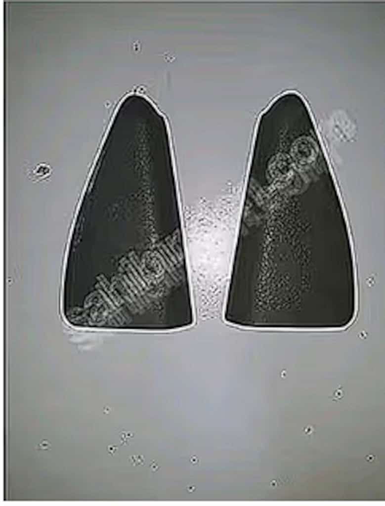RENAULT SCENİC 1 MUTELİF İÇ TİRİM PARÇALAR - 2