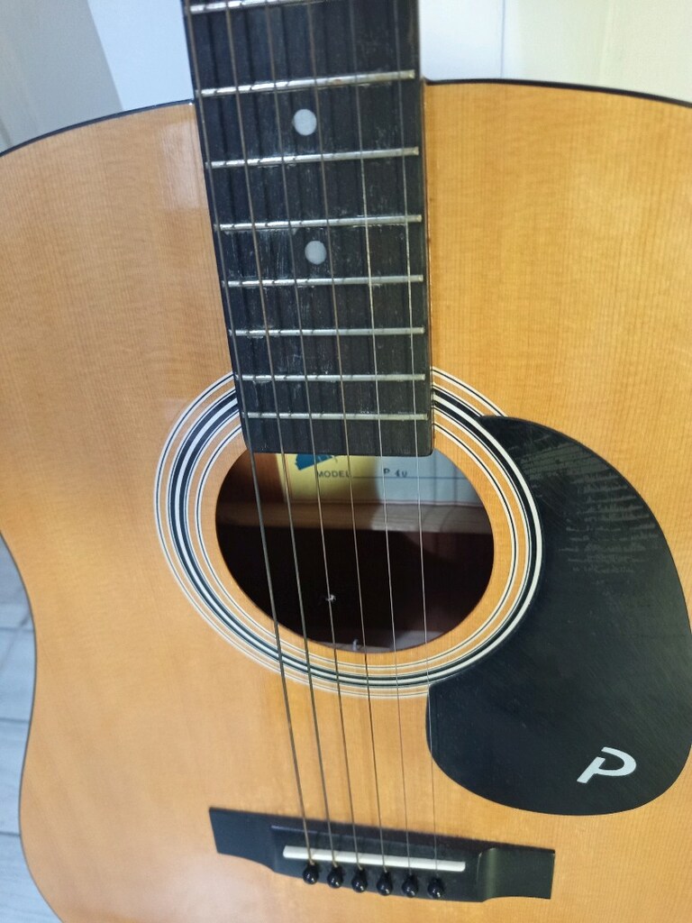 palmer akustik gitar 40 - 3