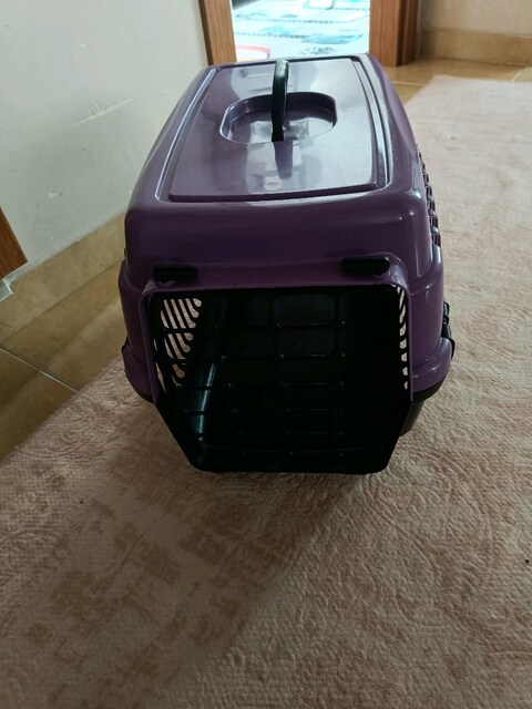 kedi taşıma çantası