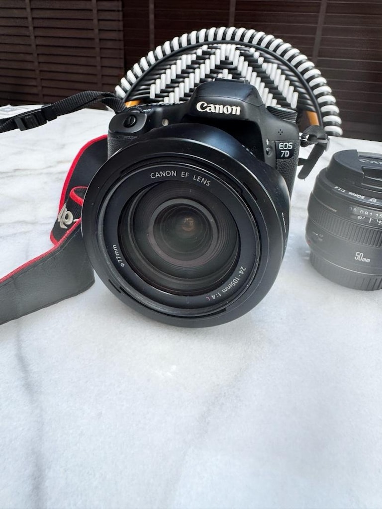 canon lens 24 -105 L 1:4