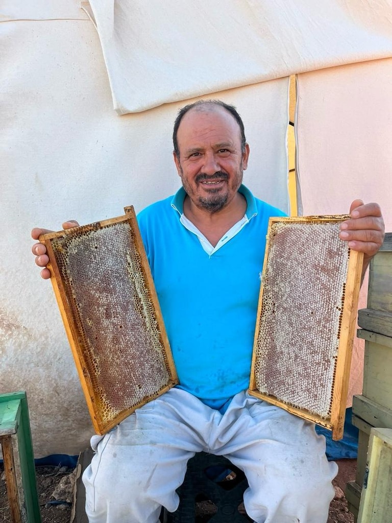 orjinal katkısız doğal bal - 5