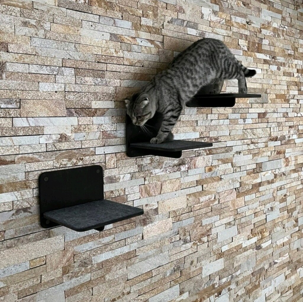 Her Mekana Uygun Kedi Basamak Kolay Silinir Toptan Satış İmalattan - 2