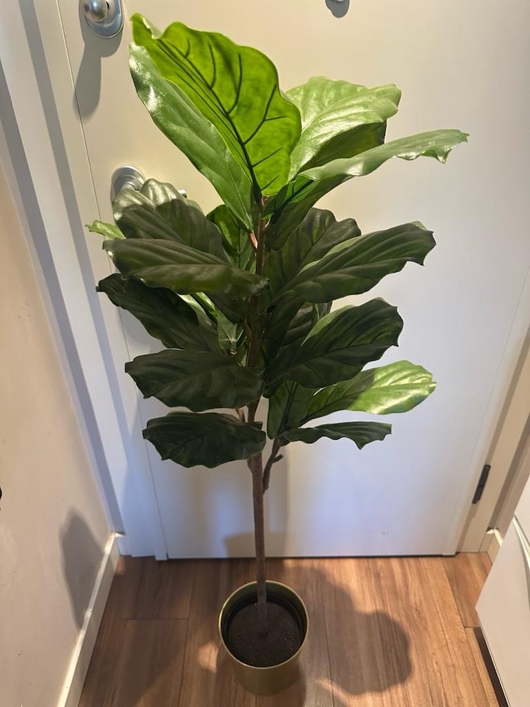 145 CM IKEA FEJKA YAPAY BİTKİ (Pandora Kauçuğu) Yeşil + SAKSI HEDİYELİ - 2