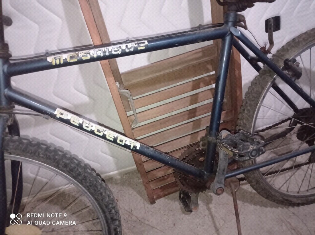 Peugeot pisiklet - 2
